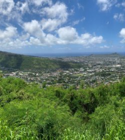Hawaii Panorama