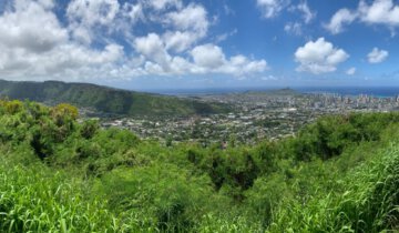 Hawaii Panorama