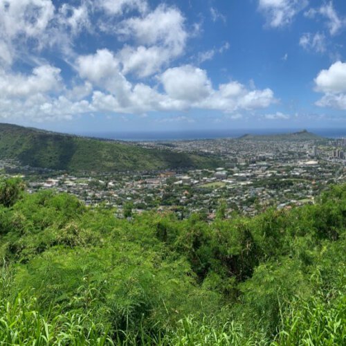 Hawaii Panorama